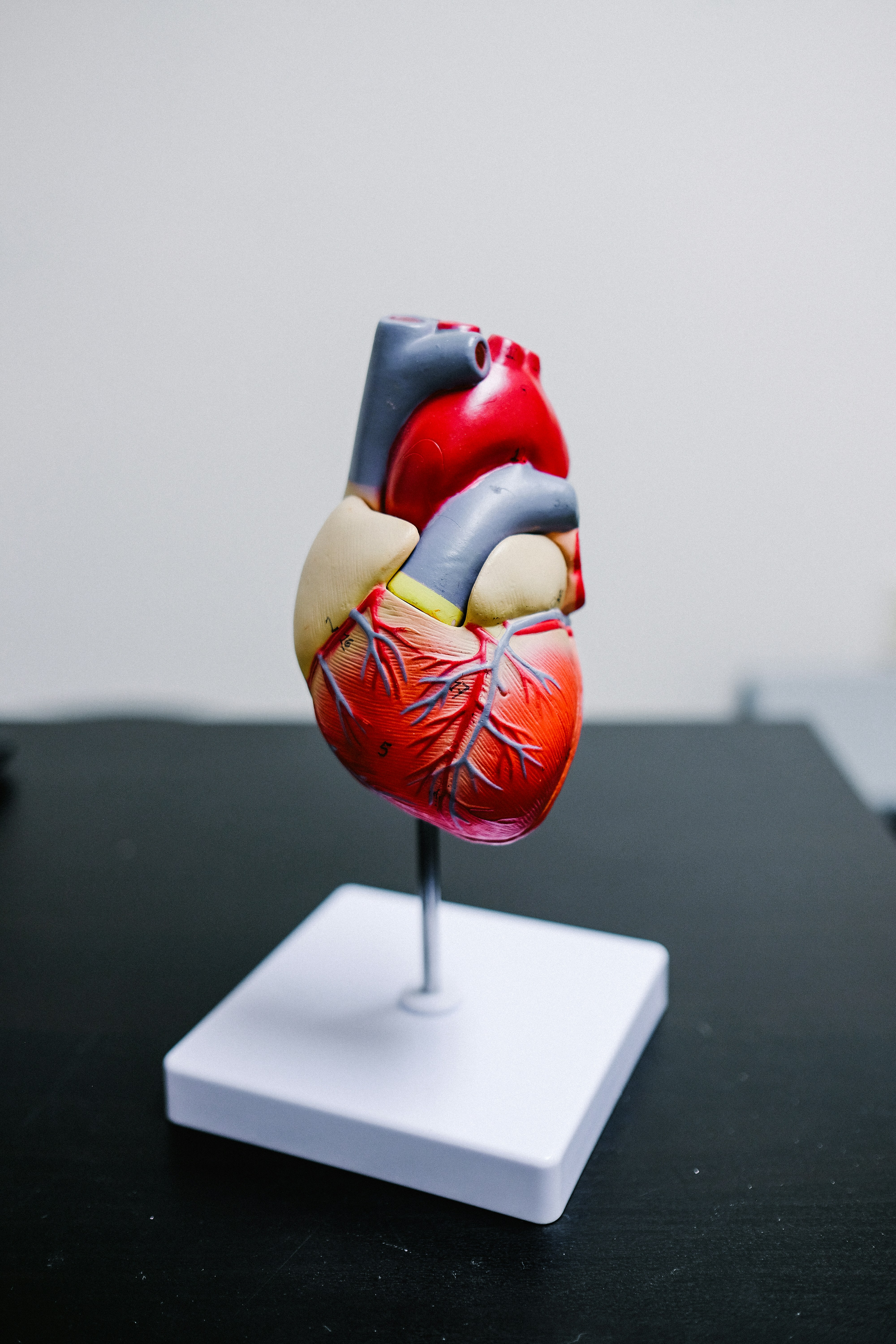 Heart Disease Prediction